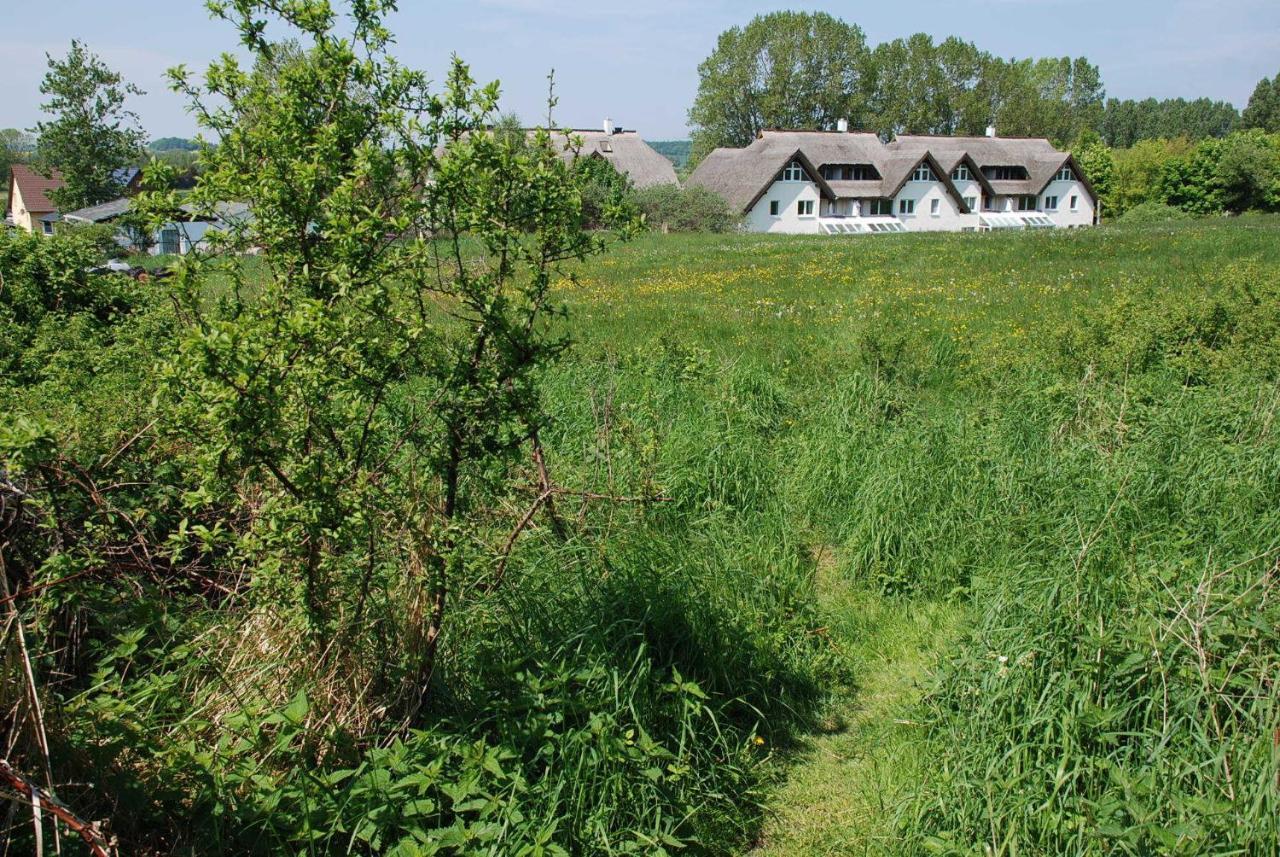 Strandhaus Lobbe - Fewo 45499 Esterno foto